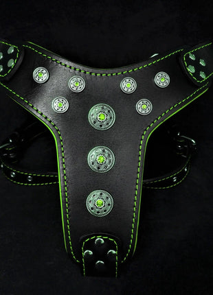 Bijou Leather - xlchoice.com