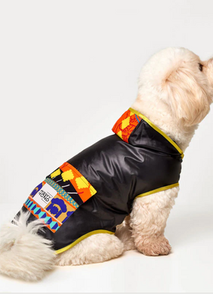 WoofyHund Fiesta Poncho dog raincoat in black with yellow trim and colorful patterned panel