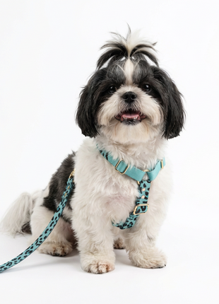 Hundegeschirr Aqua-Camo-0