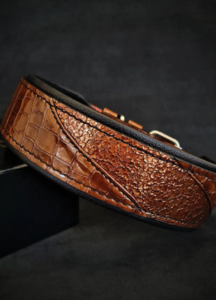 Korona Croc Collar - xlchoice.com