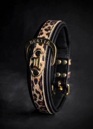 Leopard Collar - xlchoice.com