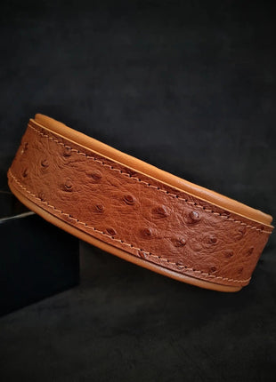 Ostrich Collar - xlchoice.com