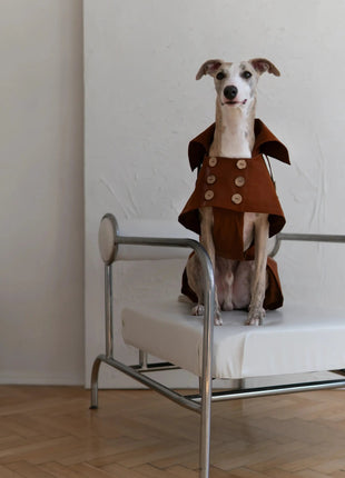 Waterproof Dog Coat - xlchoice.com