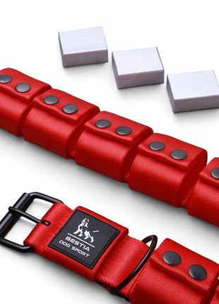 Weighted Dog Collar - xlchoice.com