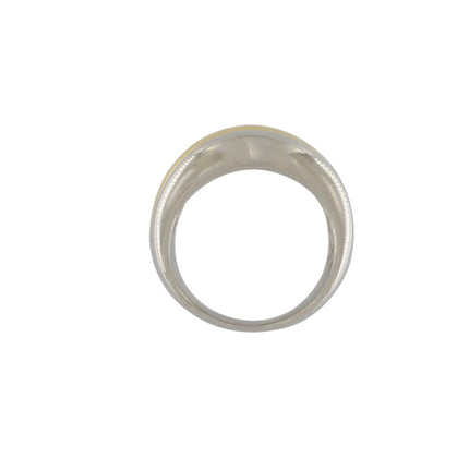 Passion Waterproof 2 Tone Smooth Ring Silver Plating