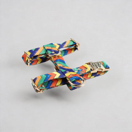 Hundegeschirr Festival-0