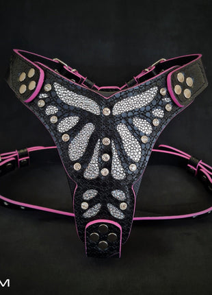 Ariel Harness - xlchoice.com