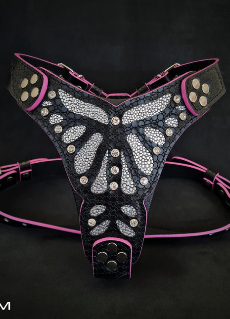 Ariel Harness - xlchoice.com