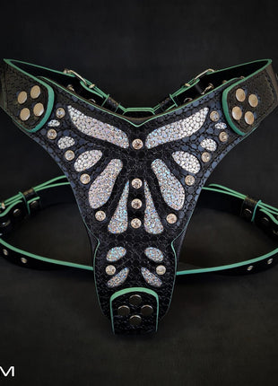 Ariel Harness - xlchoice.com