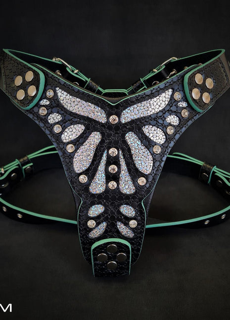 Ariel Harness - xlchoice.com