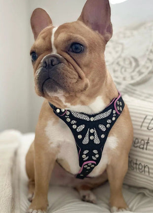 Ariel Harness - xlchoice.com