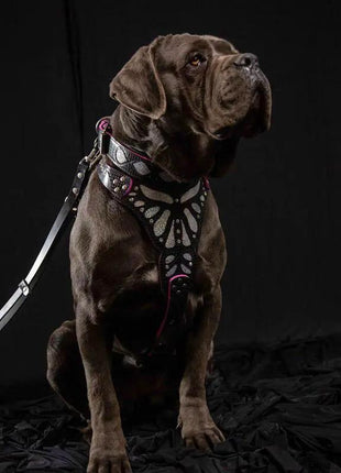 Ariel Leather Collar - xlchoice.com