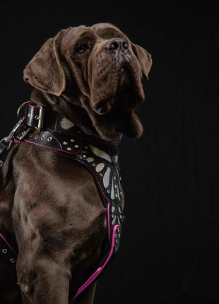 Ariel Leather Collar - xlchoice.com