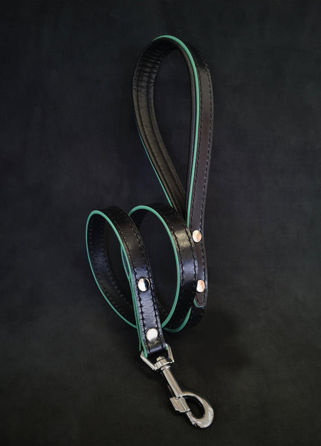 Ariel Leather Leash - xlchoice.com
