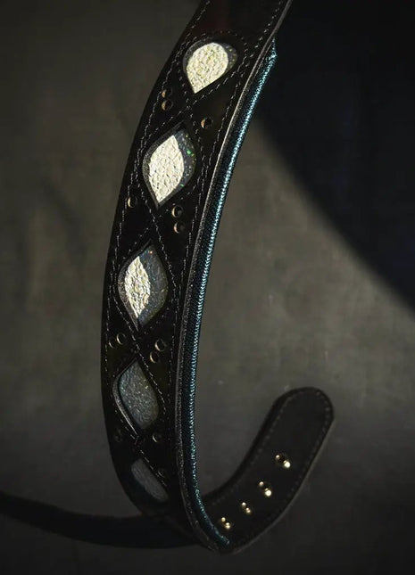 Avatar Collar - xlchoice.com