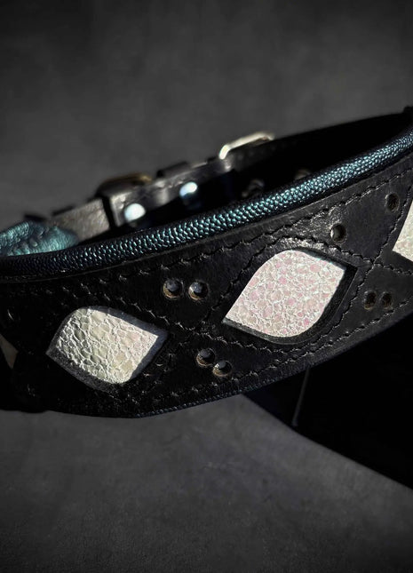 Avatar Collar - xlchoice.com