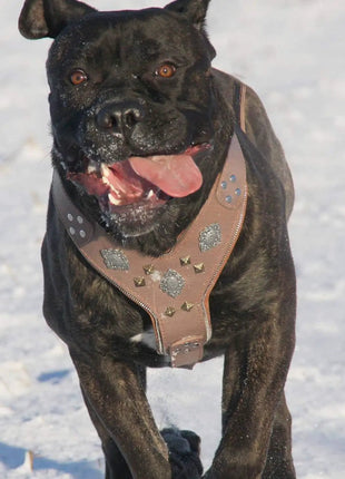 Aztec Grey Harness - xlchoice.com