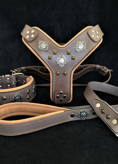 Aztec Leather Dog Set - xlchoice.com