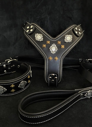 Aztec Leather Set - xlchoice.com