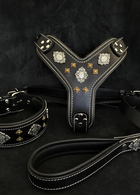 Aztec Leather Set - xlchoice.com