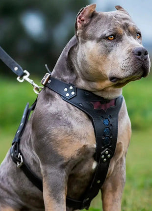 Batdog Harness - xlchoice.com