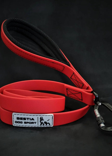 Bestia Leather Leash - xlchoice.com