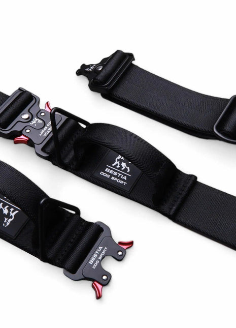 Bestia Nylon Collar - xlchoice.com