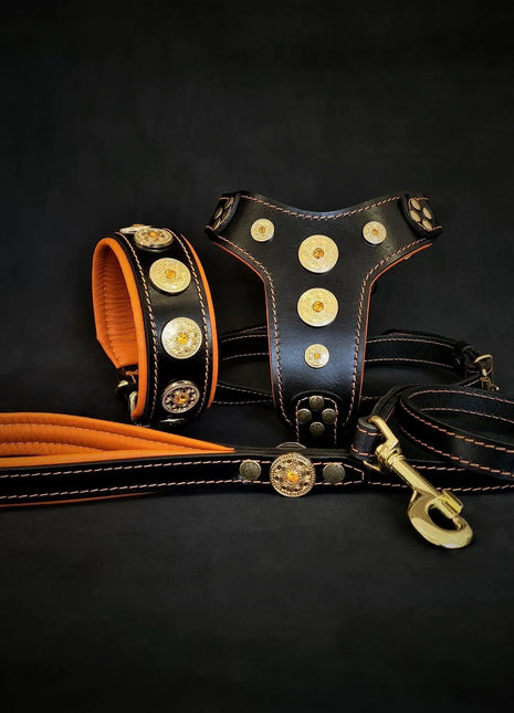 Bijou Leather Collar - xlchoice.com