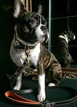 Bijou Leather Lead - xlchoice.com