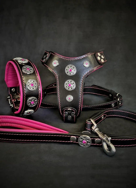 Bijou Leather Set - xlchoice.com
