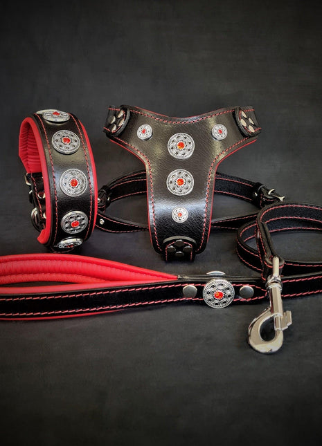 Bijou Leather Set - xlchoice.com