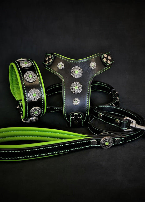 Bijou Leather Set - xlchoice.com