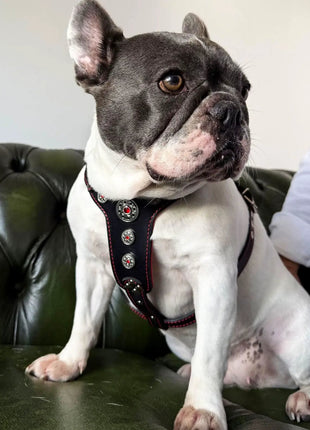 Bijou Leather - xlchoice.com