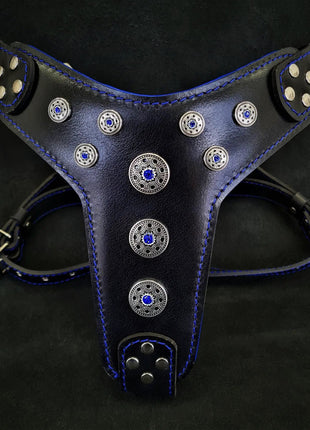 Blue Leather Bijou - xlchoice.com