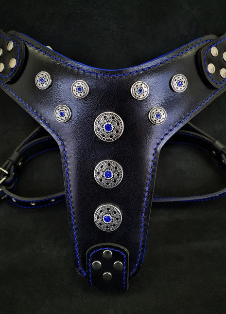 Blue Leather Bijou - xlchoice.com