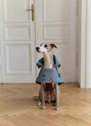 Blue Trench Coat - xlchoice.com