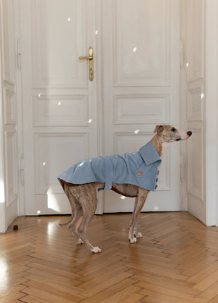 Blue Trench Coat - xlchoice.com