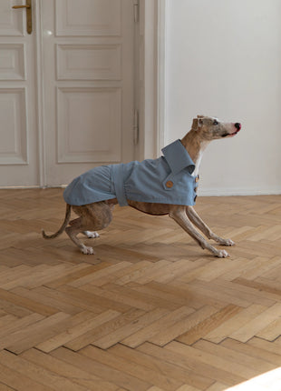 Blue Trench Coat - xlchoice.com