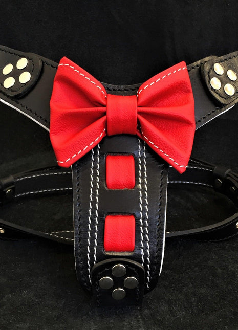 Bow Tie Harness - xlchoice.com