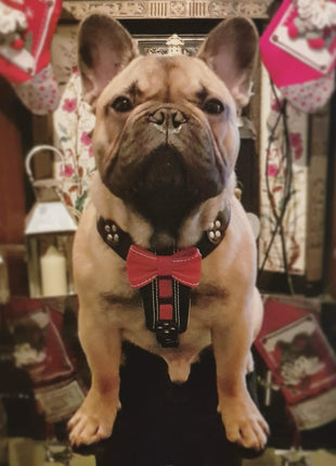 Bow Tie Harness - xlchoice.com