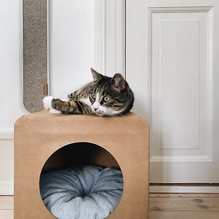 a cat lying down on a cardboard house made out of MULGEO's box-chair