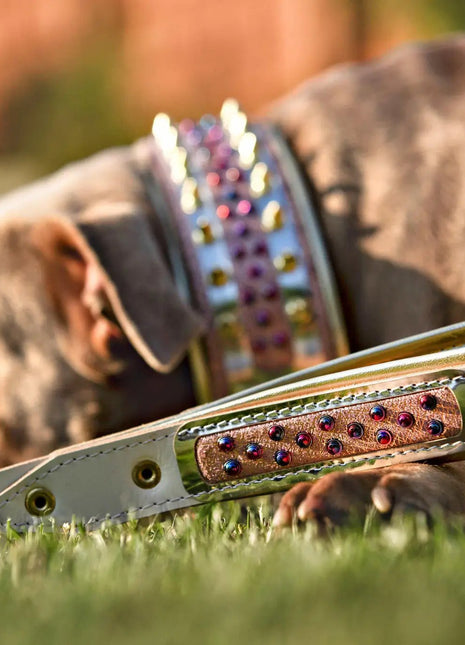 Candy Leather Leash - xlchoice.com