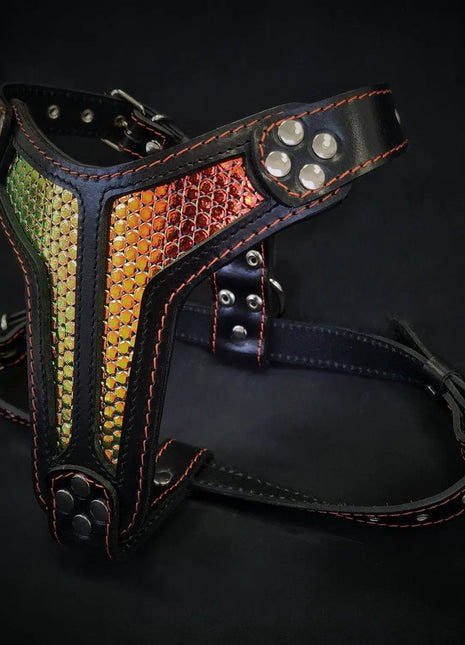 D Albertis Harness - xlchoice.com