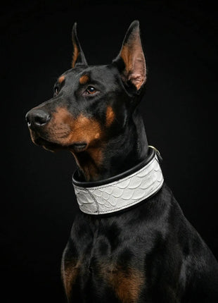 Dragon Scale Collar - xlchoice.com