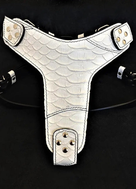 Dragon Scale Harness - xlchoice.com