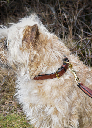 alt
Premium hundehalsbånd i afrundet naturligt garvet læder - XLchoice