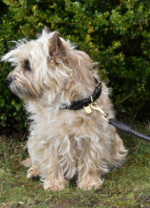 Førsteklasses hundehalsbånd i afrundet, naturligt garvet læder - XLchoice