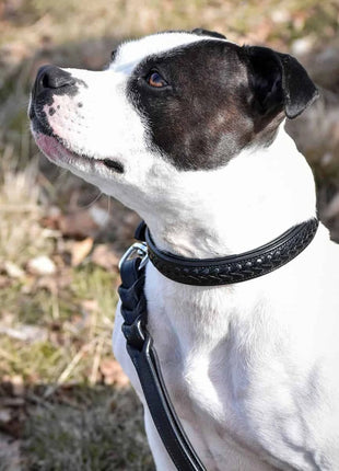 alt
Premium hundehalsbånd i flettet naturligt garvet læder - XLchoice