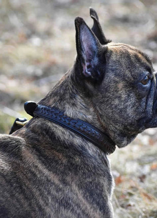 alt
Premium hundehalsbånd i flettet naturligt garvet læder - XLchoice