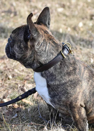 Førsteklasses hundehalsbånd i flettet naturligt garvet læder - XLchoice